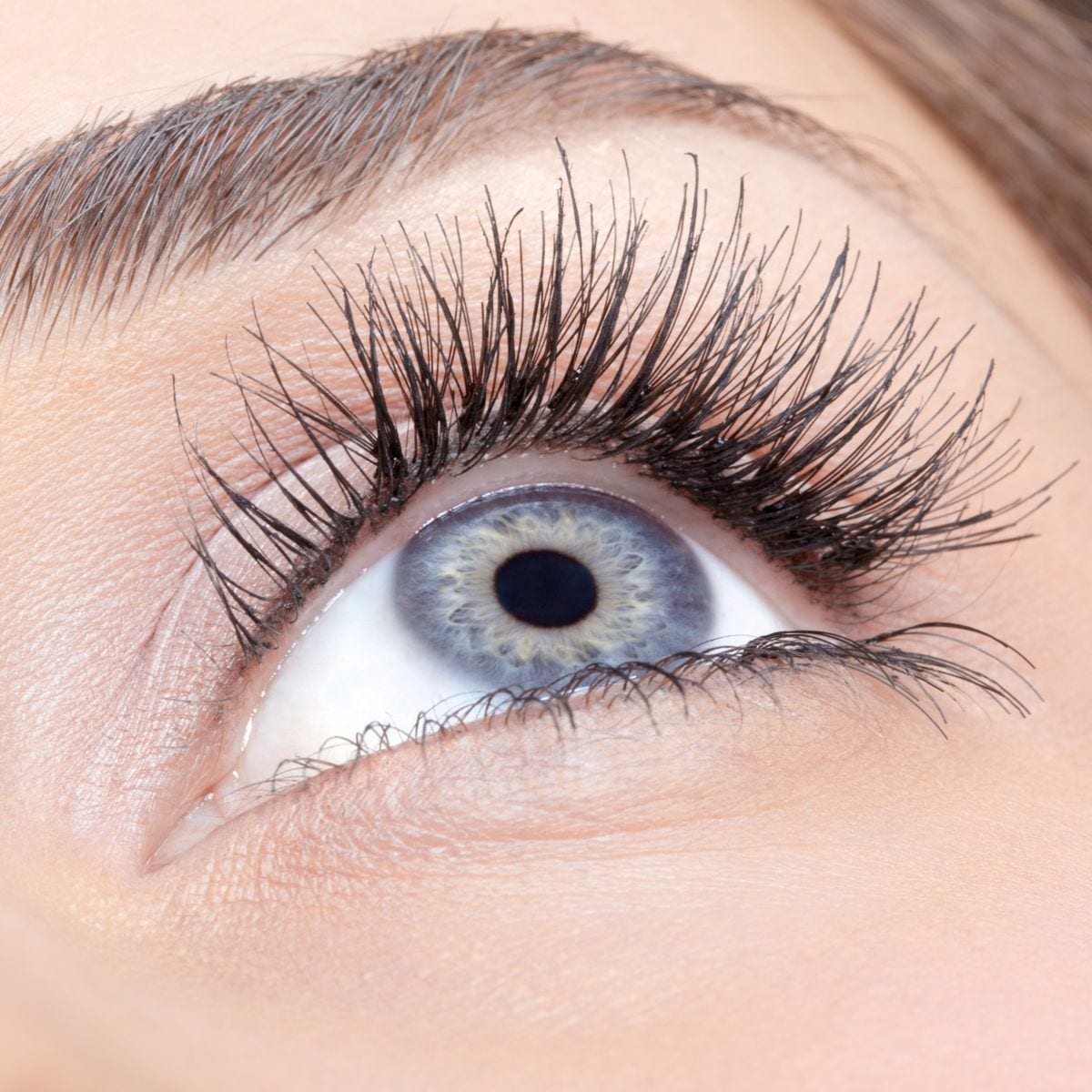 Lash lift & verven